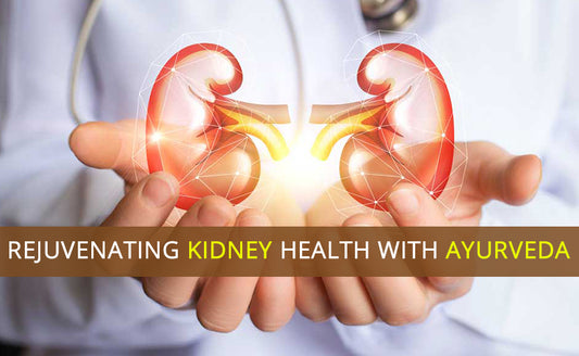 Rejuvenating Kidney Health With Ayurveda