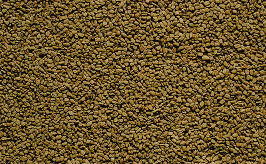 FENUGREEK OR METHI
