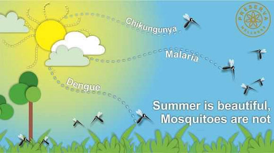 Vector of mosquitoes spreading Dengue, Malaria and Chikungunya