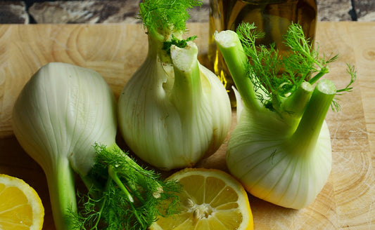 FENNEL