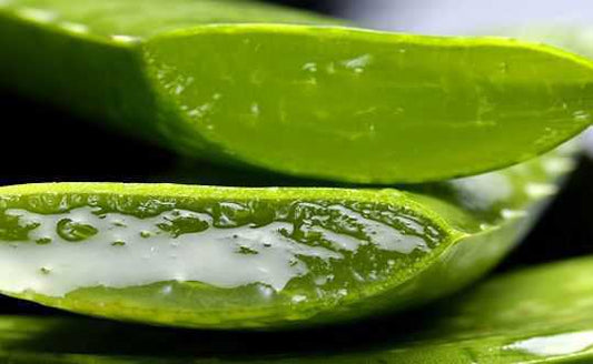 The Health Benefits Of Aloe Vera