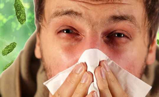 Winter Illnesses