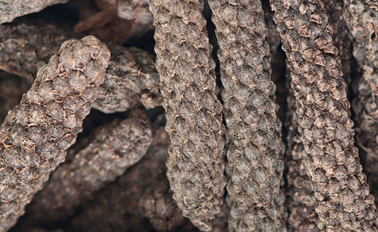 LONG PEPPER