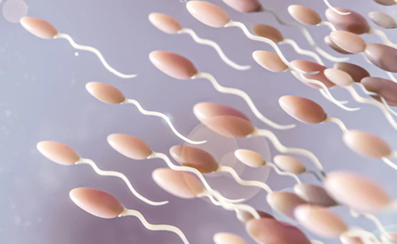 Male Infertility