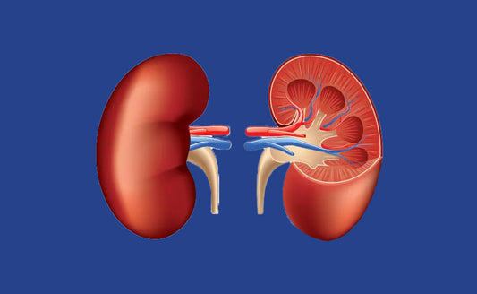 Renal Problems