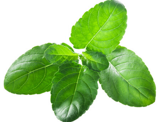 TULSI