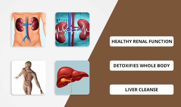 Kidneys and liver vortex photos are displayed with text written- Healthy renal function, detoxifies whole body, and liver cleanse.