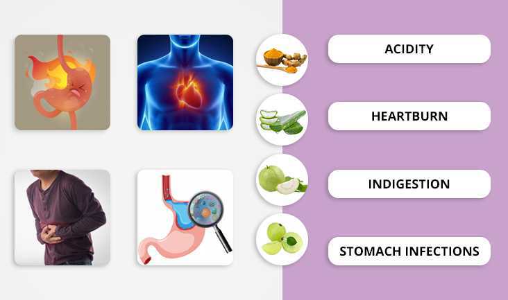 A collage of 4 photos- A vector of stomach burning due to fire, A vector of heartburn, A man holding his stomach due to pain, and a vector of stomach and zoom glass. Text written respectively- Acidity, Heartburn, Indigestion, and Stomach Infection.