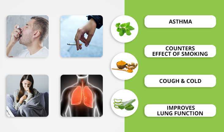 A collage of 4 photos- A man taking an asthma inhaler, A hand showing smoking, A woman sneezing, and A vector of lungs in red colour. Text written respectively- Asthma, Counters effect of smoking, Cough & cold, and Improves lung function.