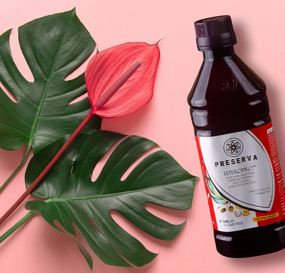 Thyropro Juice next to a red plant with green leaves on a light red background.