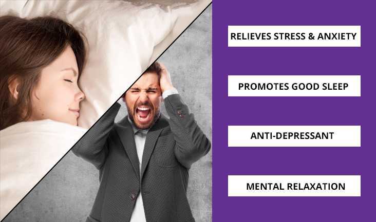 Comparative photo of two people in which one is sleeping relaxed and the other is scratching his hair with stress. Text written: Relieves stress & anxiety, promotes good sleep, anti-depressant, and mental relaxation.