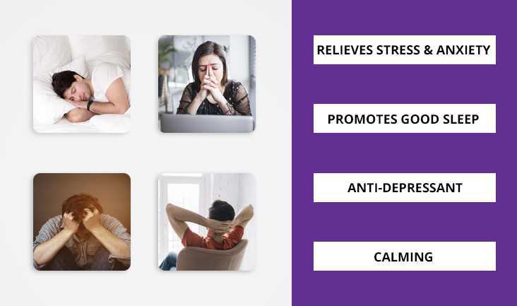 4 different photos of people- A guy sleeping, a woman being tensed in front of a laptop, a guy stressed and pulling his hair, and a man relaxing on a chair. Text Written next to the 4 photos- relieves stress & anxiety, promotes good sleep, anti-depressant and calming.