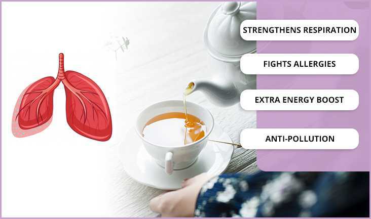 Pouring a cup of herbal tea from a white kettle into the cup on a white table with lung problem pointers. (Strengthens respiration, fights allergies, extra energy boost, and anti-pollution)