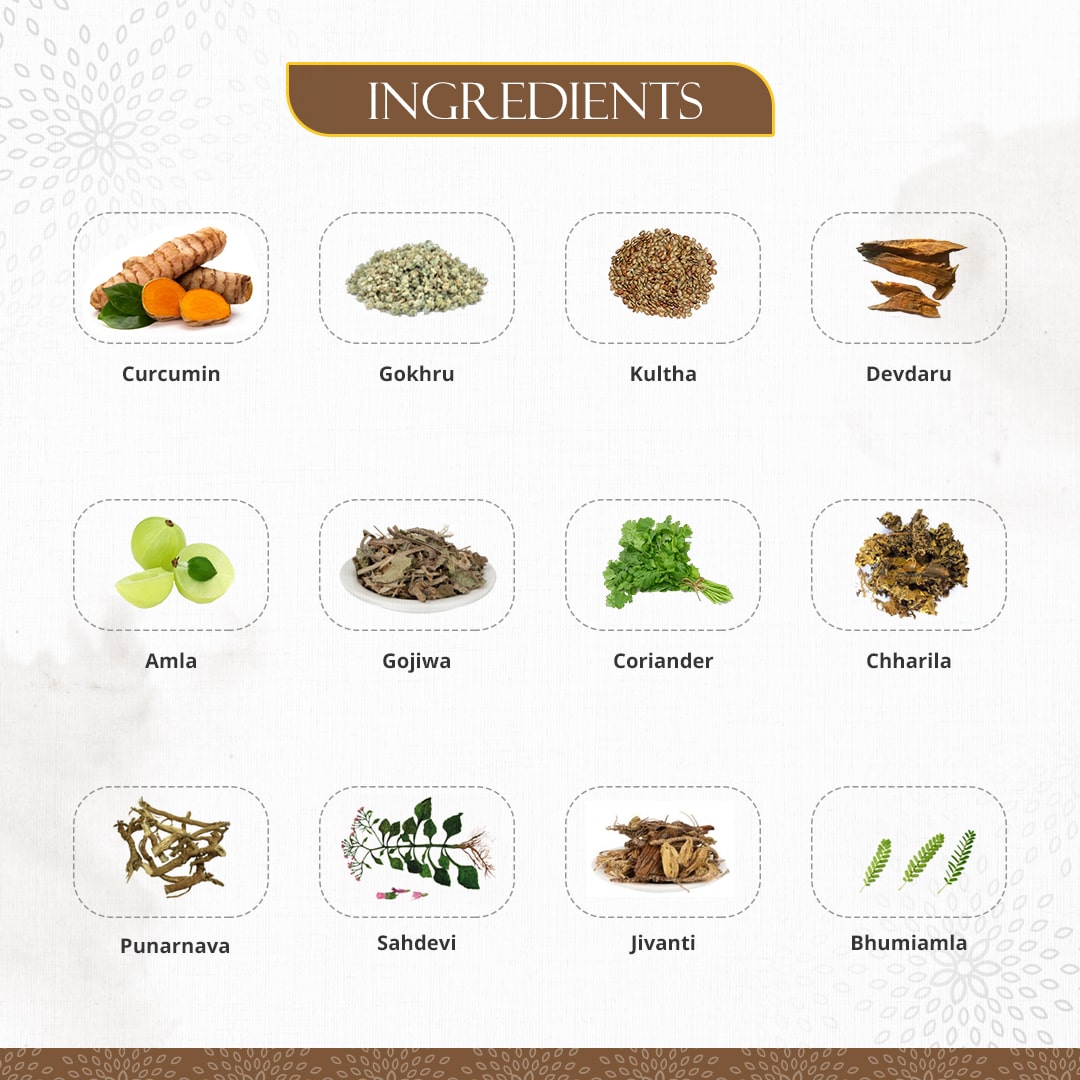 Ingredients of Preserva Wellness Nephrogold Tablets. (Curcumin, Gokhru, Kultha, Devdaru, Amla, Gojiwa, Coriander, Chharilla, Punarnava, Sahdevi, Jivanti, and Bhumi Amla)