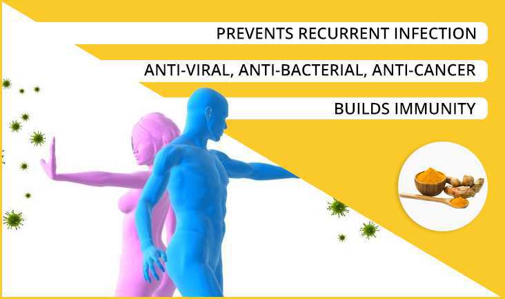 Vector of two people fighting off germs & infections. Text written: Prevents recurrent infection, anti-viral, anti-bacterial, anti-cancer, and builds immunity.