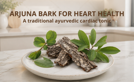 Arjuna Bark for Heart Health: A Traditional Ayurvedic Cardiac Tonic