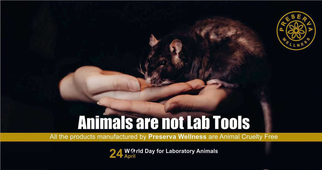 A mouse on the human hands with a text written- Animals are not lab tools
