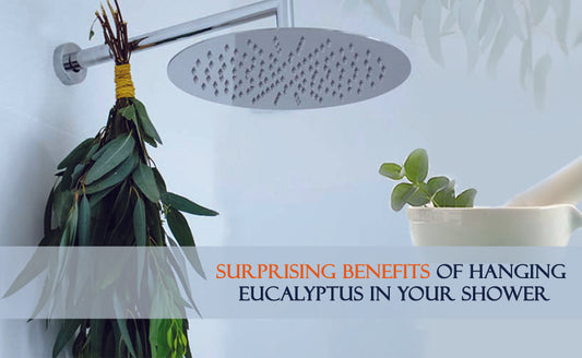 Surprising Benefits Of Hanging Eucalyptus in Your Shower