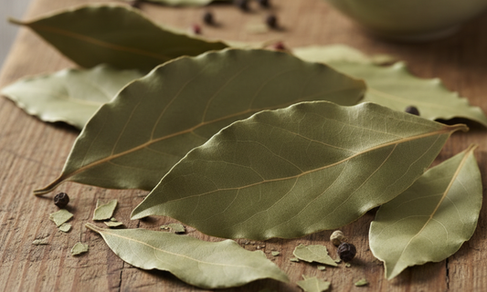 BAY LEAF