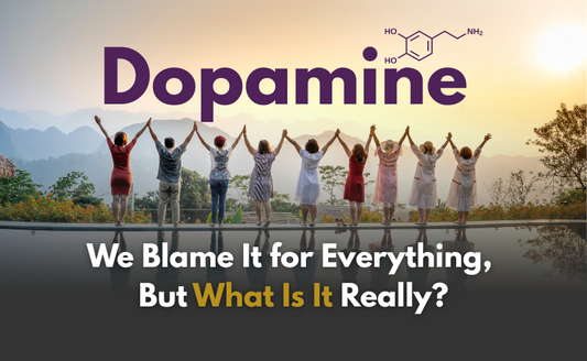 Dopamine: We Blame It for Everything, But What Is It Really?
