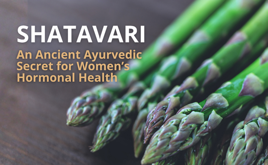Shatavari: An Ancient Ayurvedic Secret for Women’s Hormonal Health