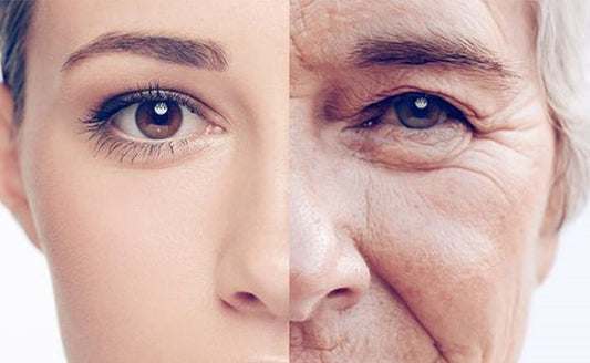 Skin Ageing