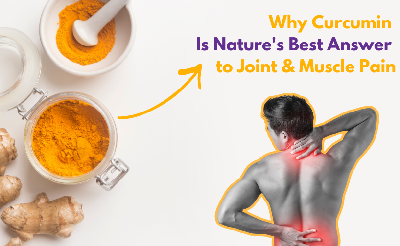 Why Curcumin Is Nature's Best Answer to Joint & Muscle Pain