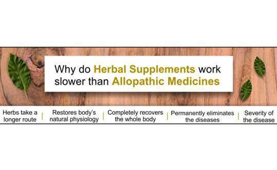 Reasons why herbal supplements work slower than Allopathic medicines