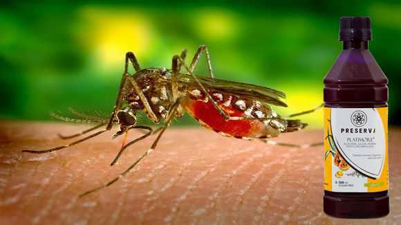Ayurvedic Treatment For Dengue And Chikungunya