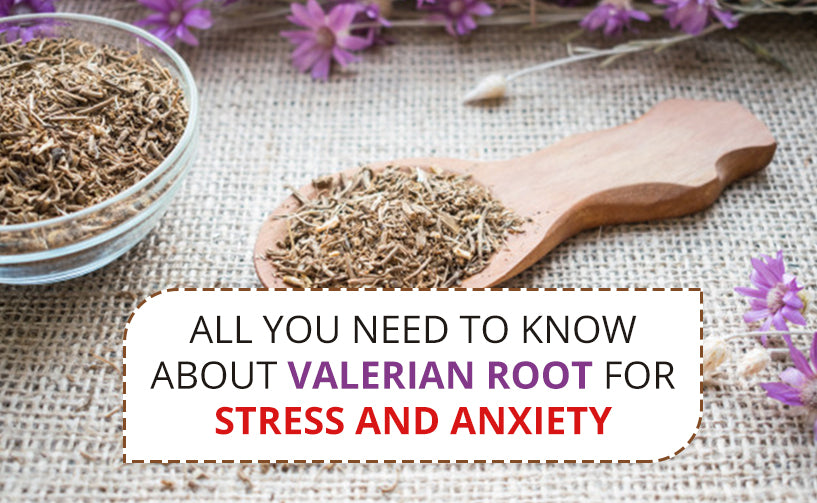 All You Need To Know About Valerian Root For Stress And Anxiety