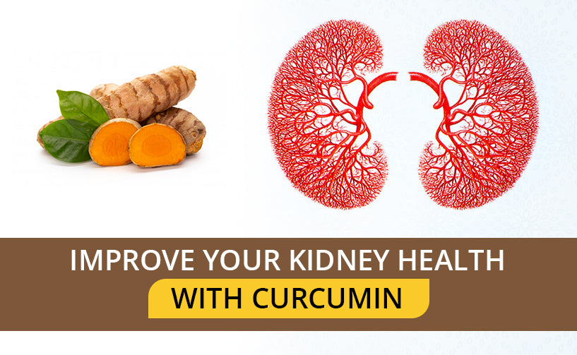Improve Your Kidney Health With Curcumin