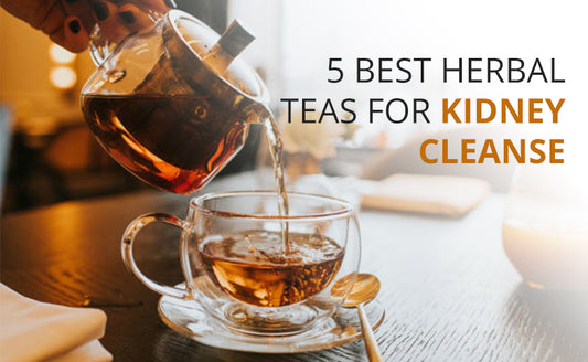 Kidney Health: 5 Best Herbal Teas for Kidney Cleanse
