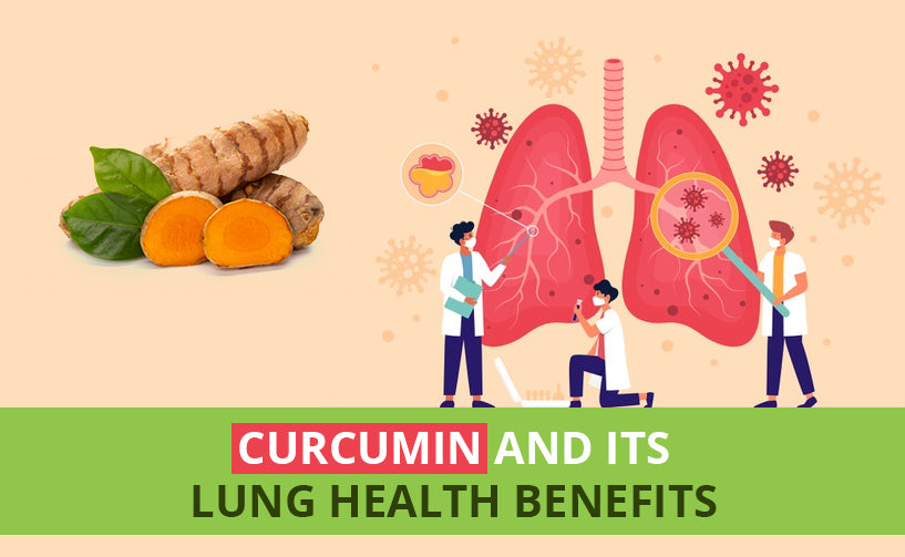 Vector of lungs health and lungs problem next to organic slice curcumin