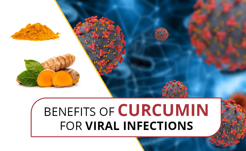  A vector of viruses with Curcumin slices and powder