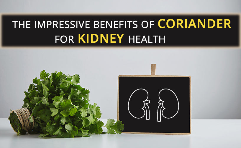 The Impressive Benefits Of Coriander For Kidney Health