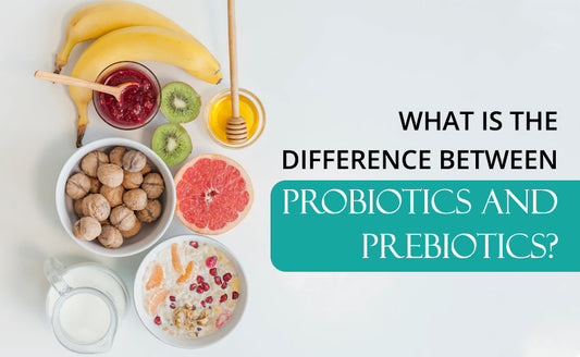WHAT IS THE DIFFERENCE BETWEEN PROBIOTICS AND PREBIOTICS?