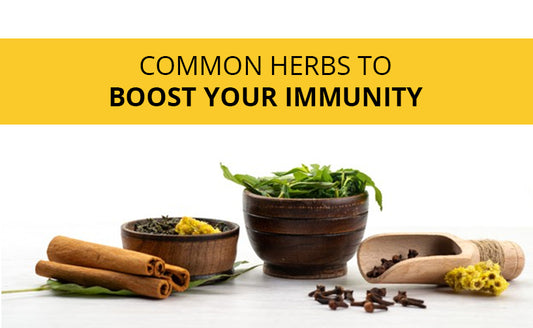 Common Herbs To Boost Your Immunity