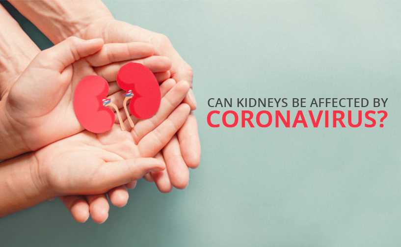 Can Kidneys Be Affected By Coronavirus