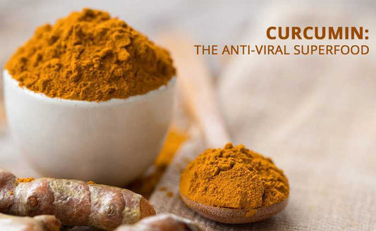 Organic yellow Curcumin power in a wooden spoon and white bowl next to raw turmeric