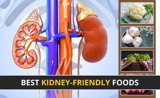 A vector of kidneys with kidney-friendly foods- cauliflower, garlic, capsicum and onion