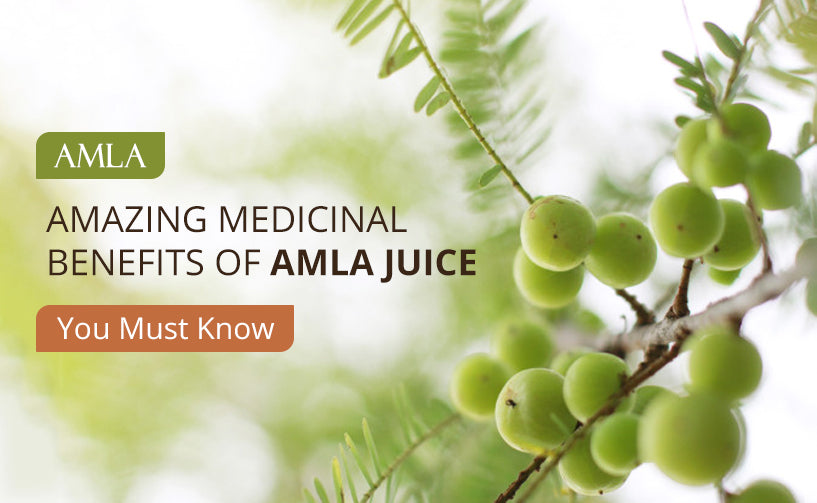 Amazing Medicinal Benefits of Amla Juice You Must Know About