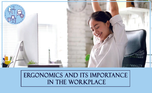 Ergonomics And Its Importance in The Workplace