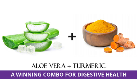 Freshly cut Aloe Vera and Curcumin with its powder in a wooden bowl	