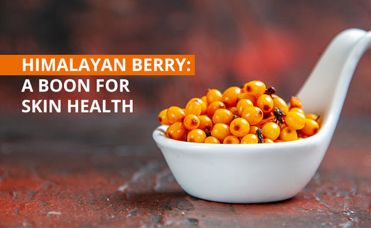 Himalayan Berry: A Boon For Skin Health