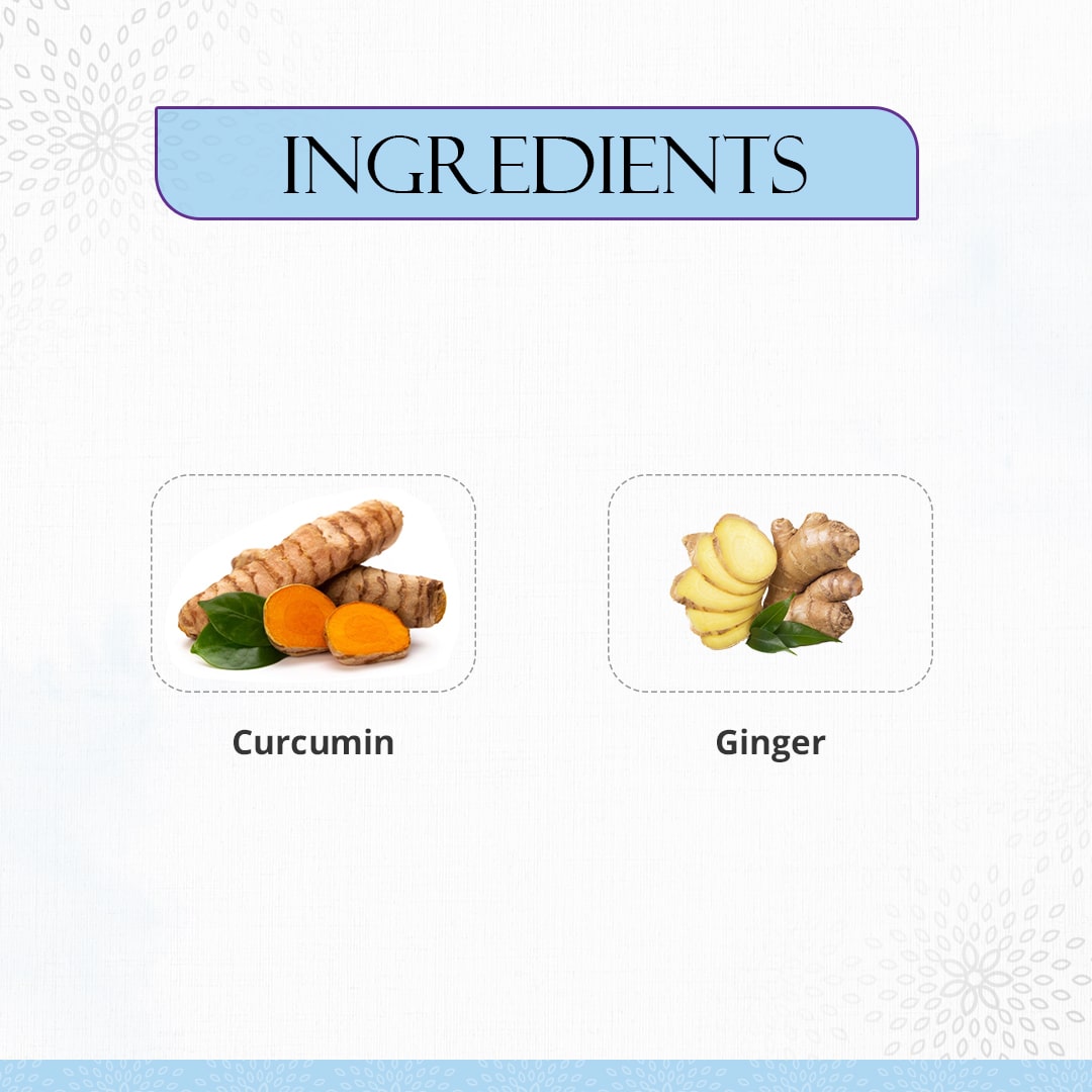  Ingredients of Preserva Wellness Arthroblast Capsules. (Curcumin & Ginger)