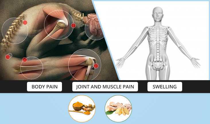 A vector showing joint and muscle pain in different parts of a body. Text Written: Body pain, joint and muscle pain, and swelling. 