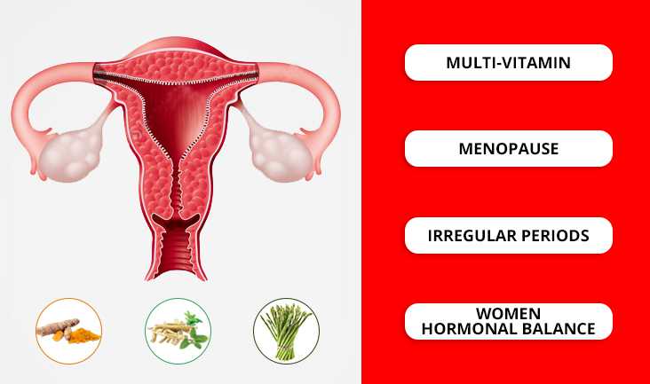 Vector of the uterus. Text Written: Multi-vitamin, Menopause, Irregular periods, and Women hormonal balance.