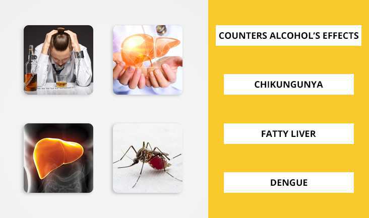 A collage of 4 photos- A photo of a man stressed and drinking alcohol, A doctor showing a liver, A liver vector, and a mosquito. Text written respectively- Counters alcohol’s effects, Chikungunya, Fatty Liver, and Dengue. 