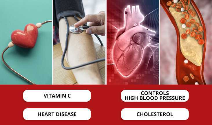 A collage of 4 images- A heart shape with the stethoscope, checking the blood pressure of a person, heart red & blue image, and cholesterol build-up in arteries. Text written respectively- Vitamin C, Controls high blood pressure, heart disease, and cholesterol.
