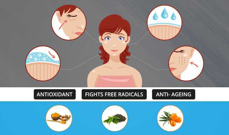 Vector of a woman showing skin-related problems. Text written: Antioxidant, fights free radicals, and anti-ageing.